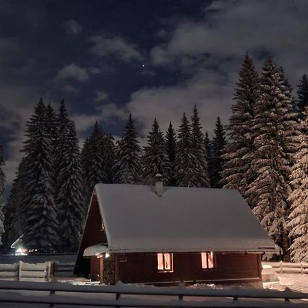 Cosy Chalet On Pokljuka - Brunarica Tinkara Zgornje Gorje Eksteriør billede