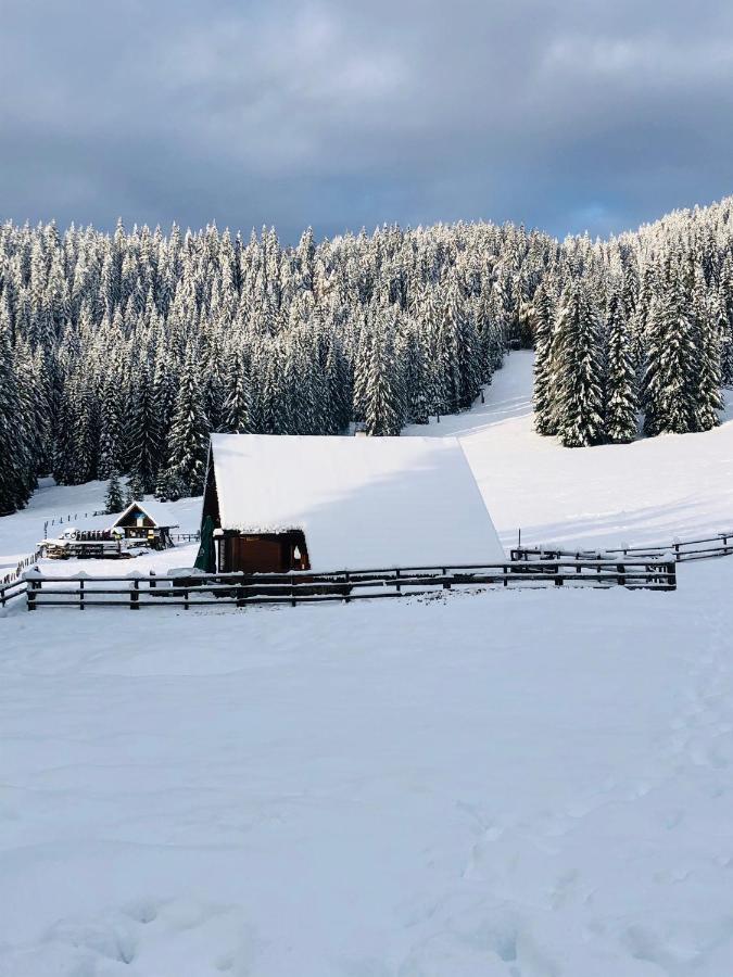 Cosy Chalet On Pokljuka - Brunarica Tinkara Zgornje Gorje Eksteriør billede