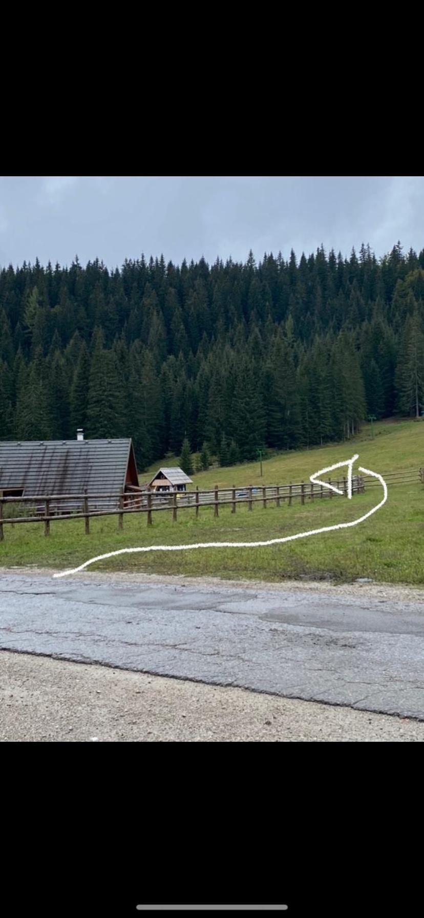 Cosy Chalet On Pokljuka - Brunarica Tinkara Zgornje Gorje Eksteriør billede
