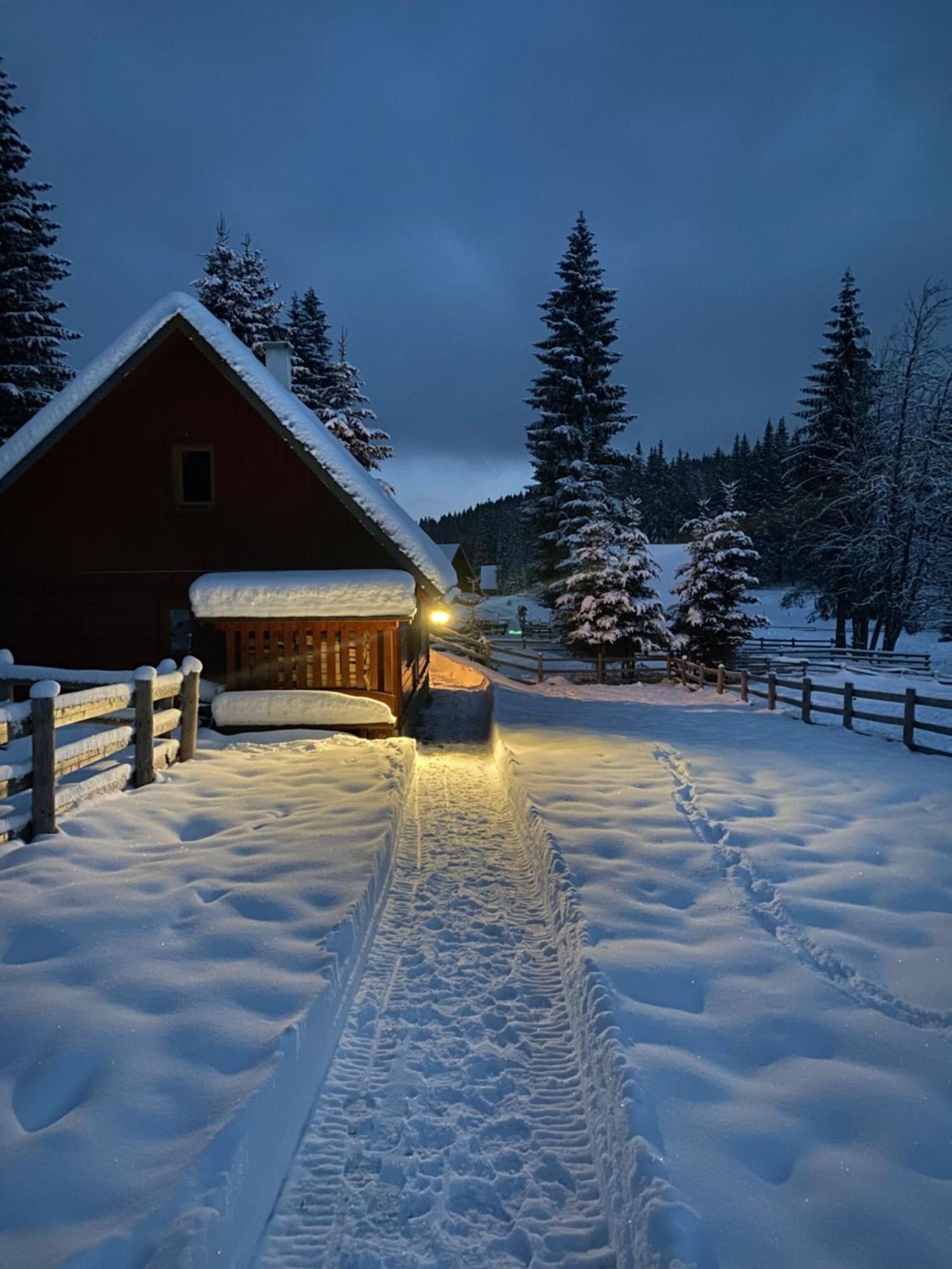 Cosy Chalet On Pokljuka - Brunarica Tinkara Zgornje Gorje Eksteriør billede