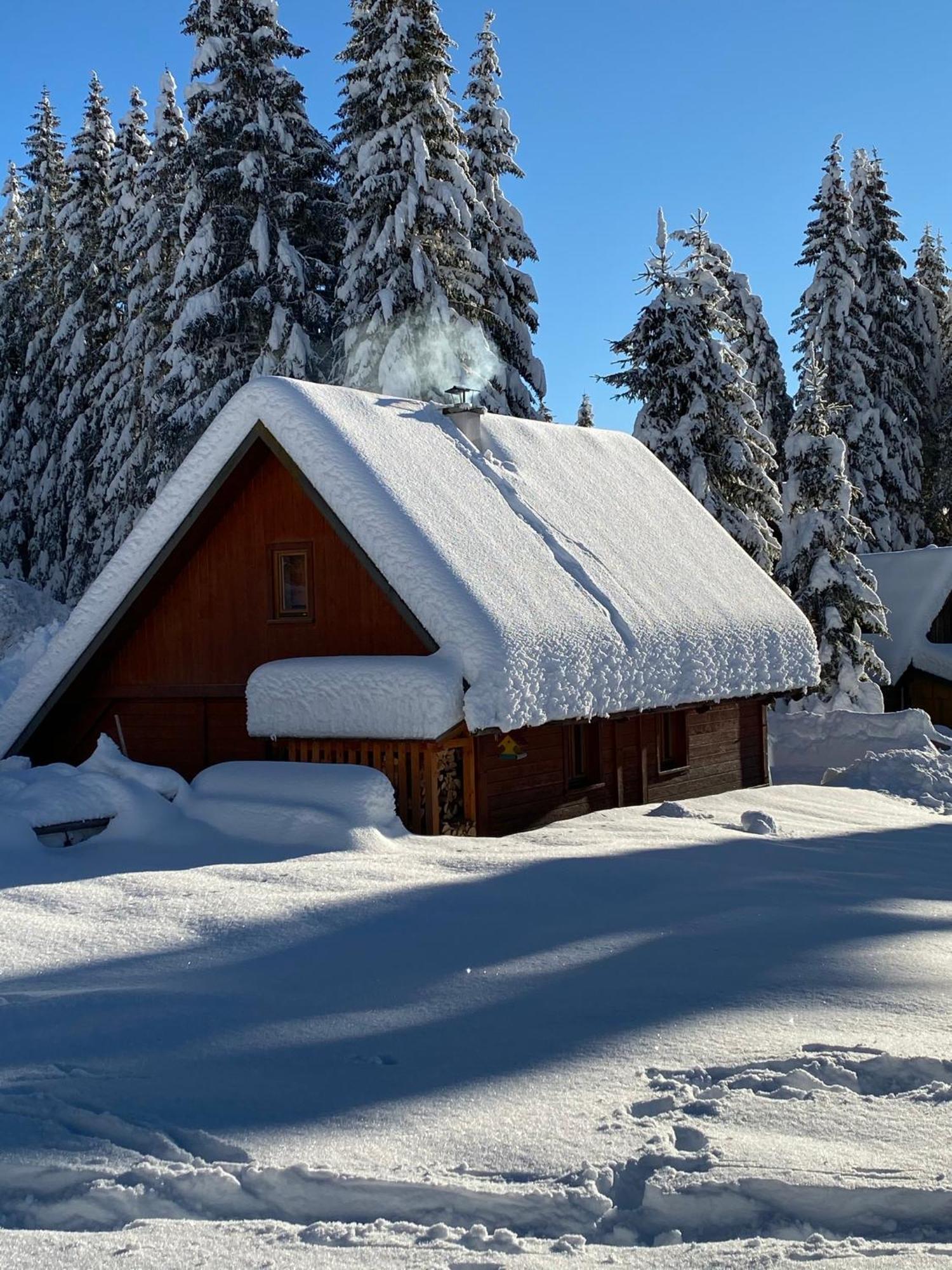 Cosy Chalet On Pokljuka - Brunarica Tinkara Zgornje Gorje Eksteriør billede