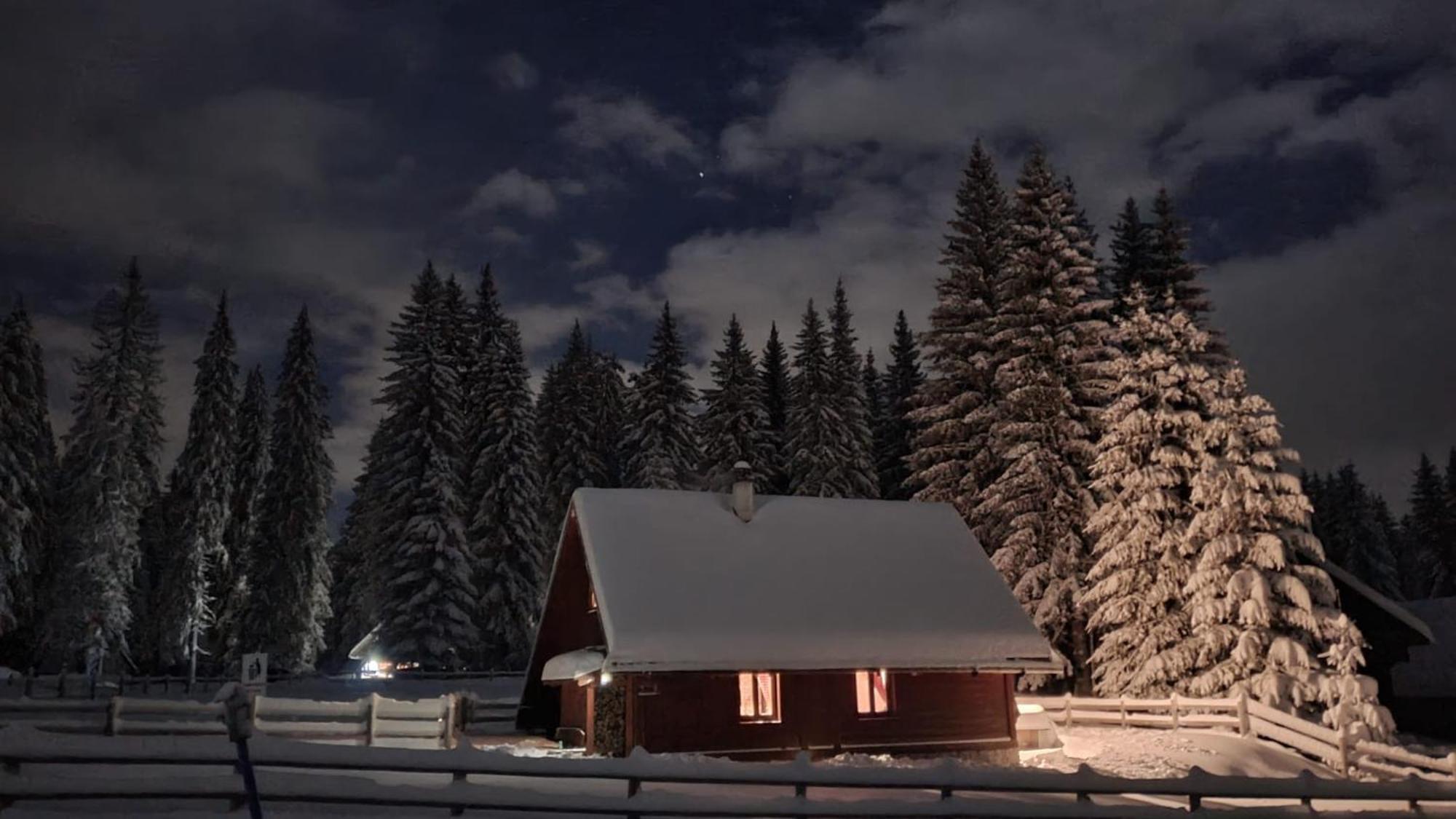 Cosy Chalet On Pokljuka - Brunarica Tinkara Zgornje Gorje Eksteriør billede