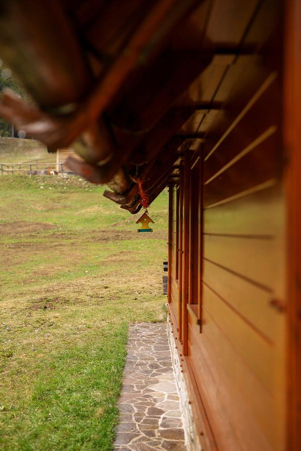 Cosy Chalet On Pokljuka - Brunarica Tinkara Zgornje Gorje Eksteriør billede